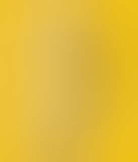 Presidential Moon Rock Blunt - 24K (1.5g)