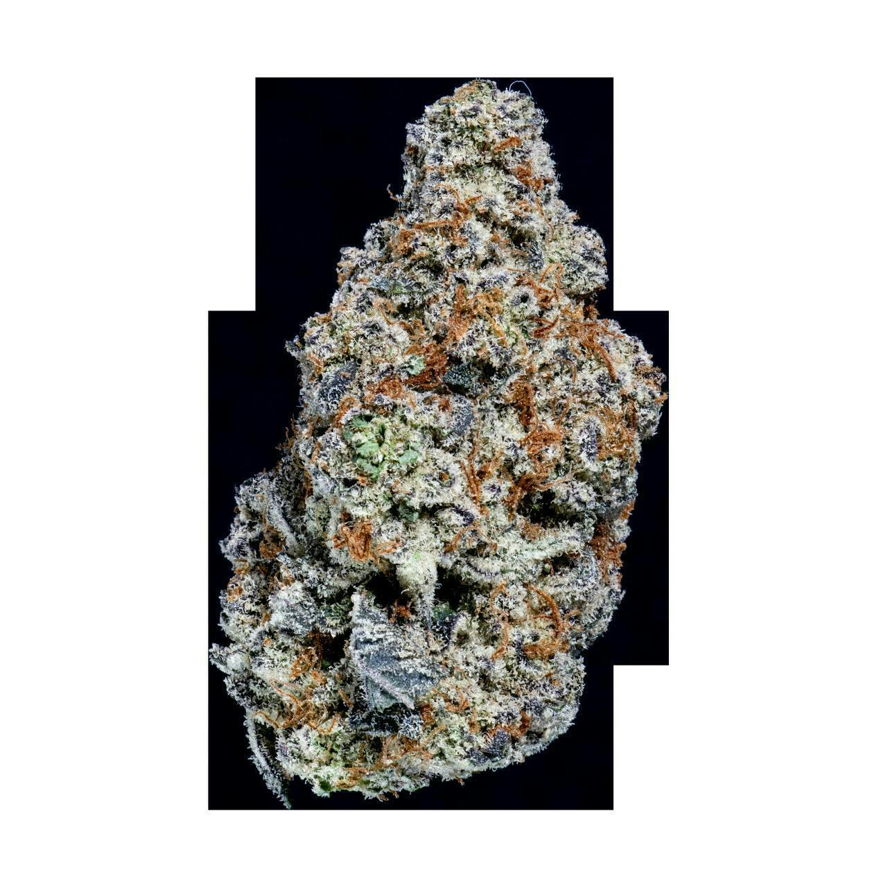 Glitter Bomb 3.5g Flower by Springtime