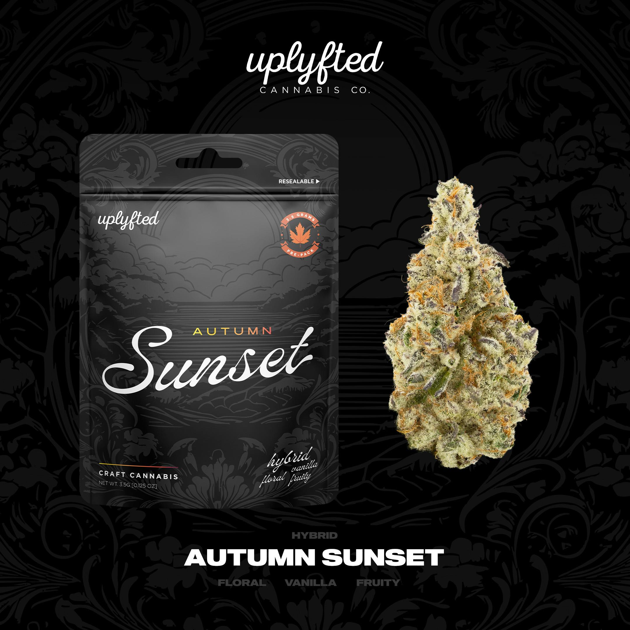 Autumn Sunset | Buds | 3.5g by Uplyfted Cannabis Co