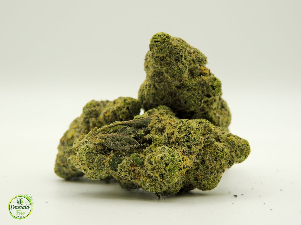 Permenant Cherries A's Buds