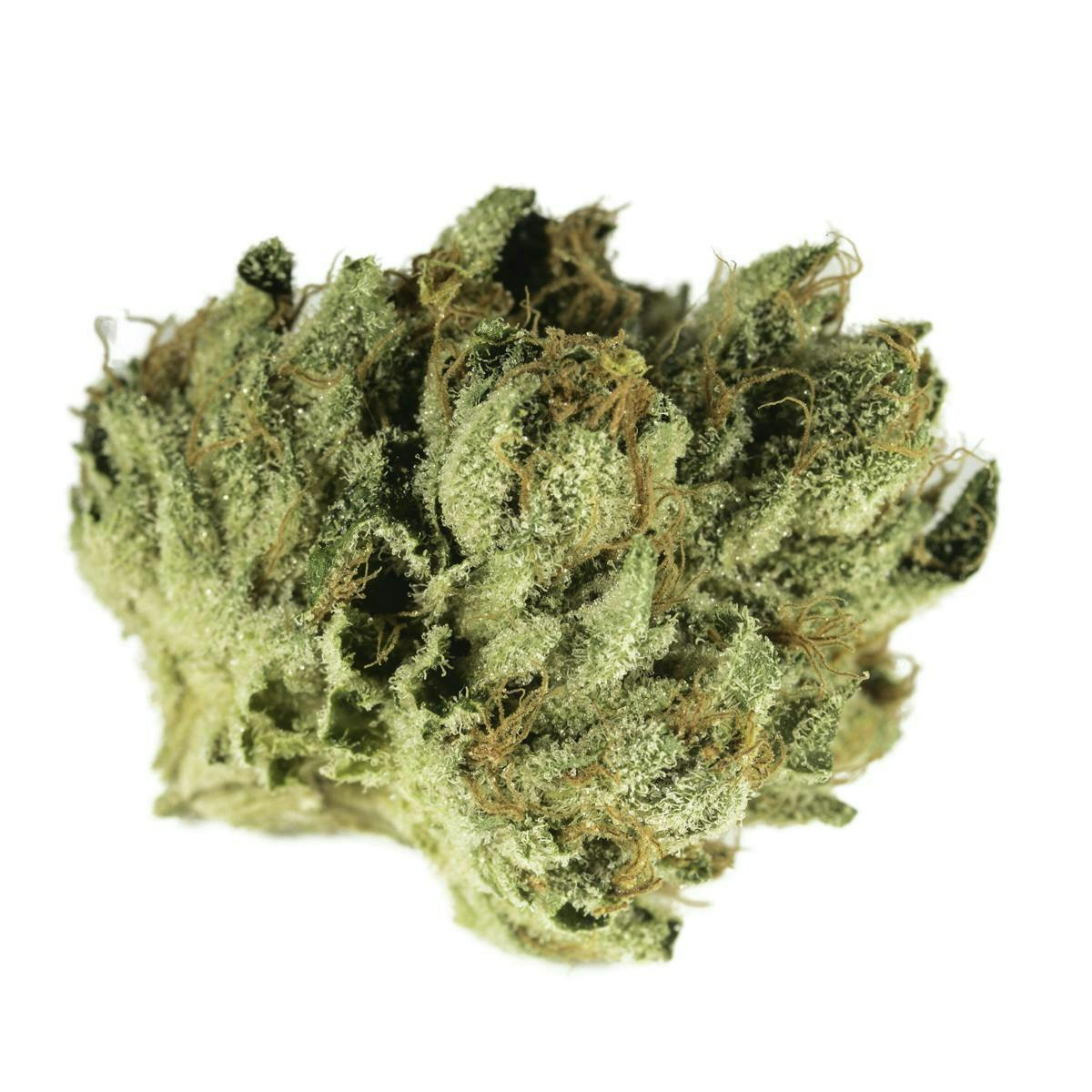 Bedford Grow | Bedford OG | Smalls | 7G - Bedford Grow
