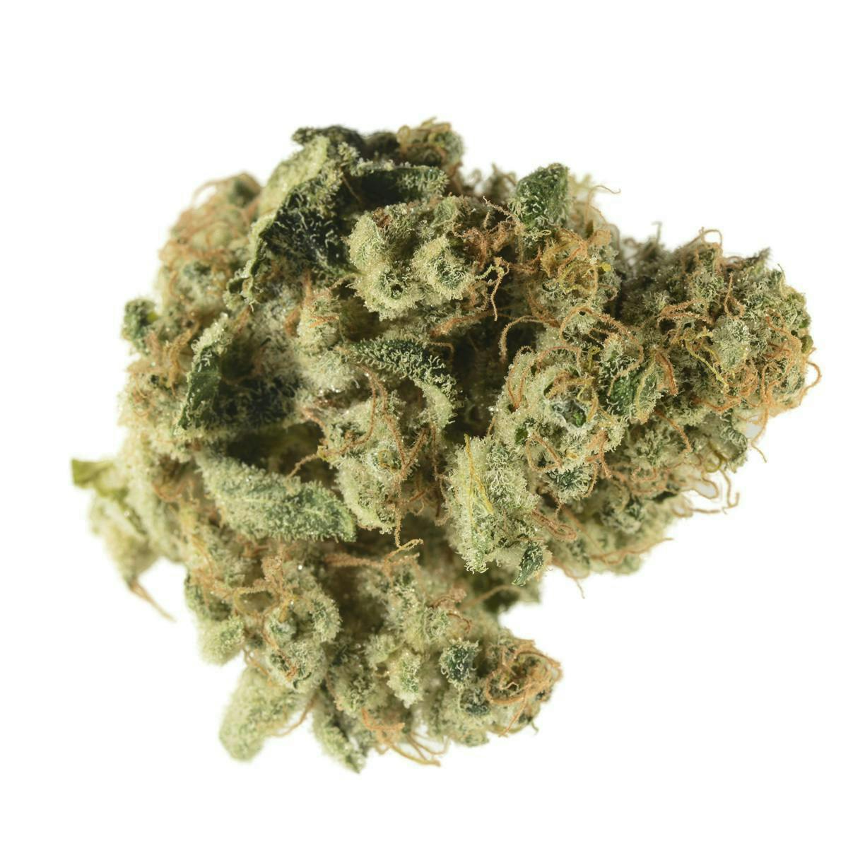 Bedford Grow | Lou's Legacy | Flower | 3.5G
