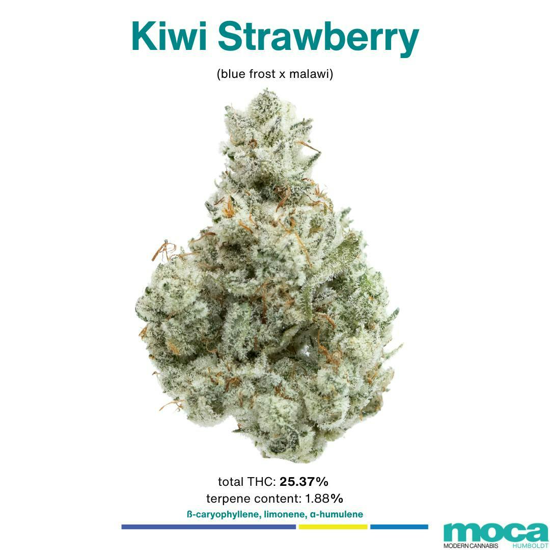 Flowers 1/8th Jar Kiwi Strawberry