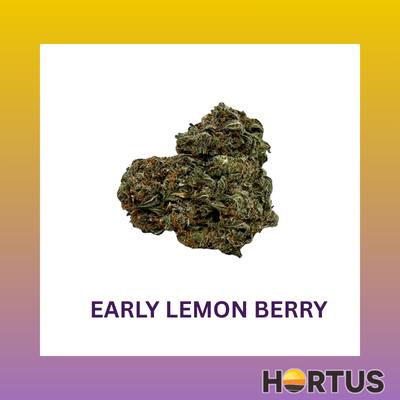 Early Lemon Berry - Hortus