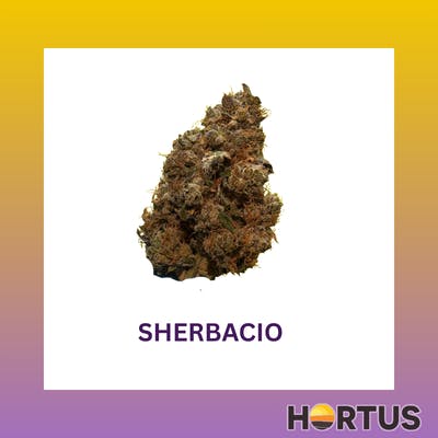 Sherbaccio