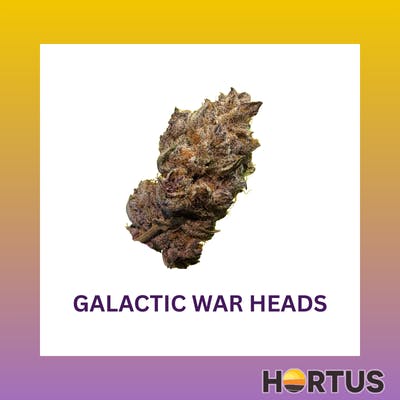 Galactic War Heads