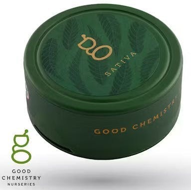 Orange Strollo Flower