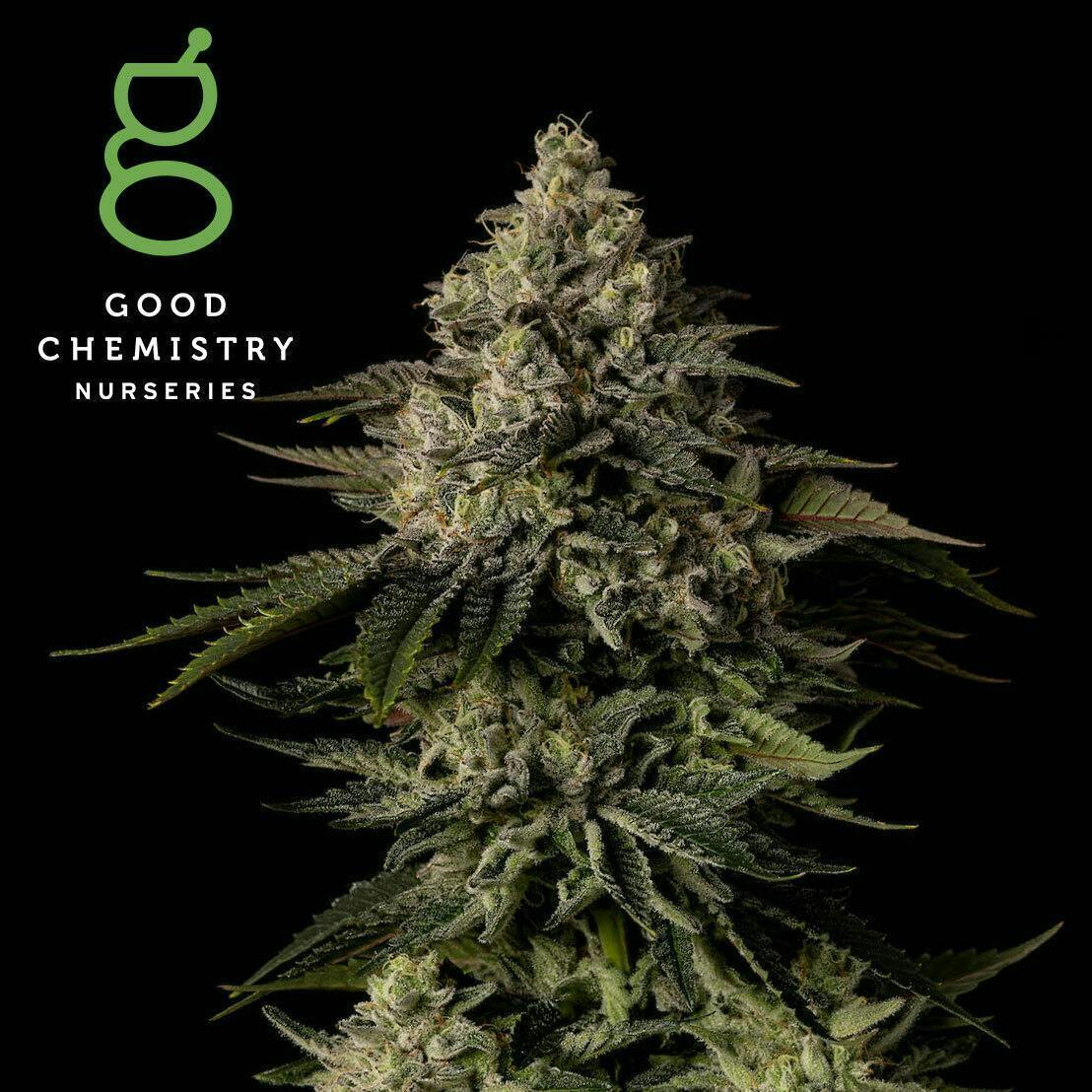 The Menage Flower | 3.5g