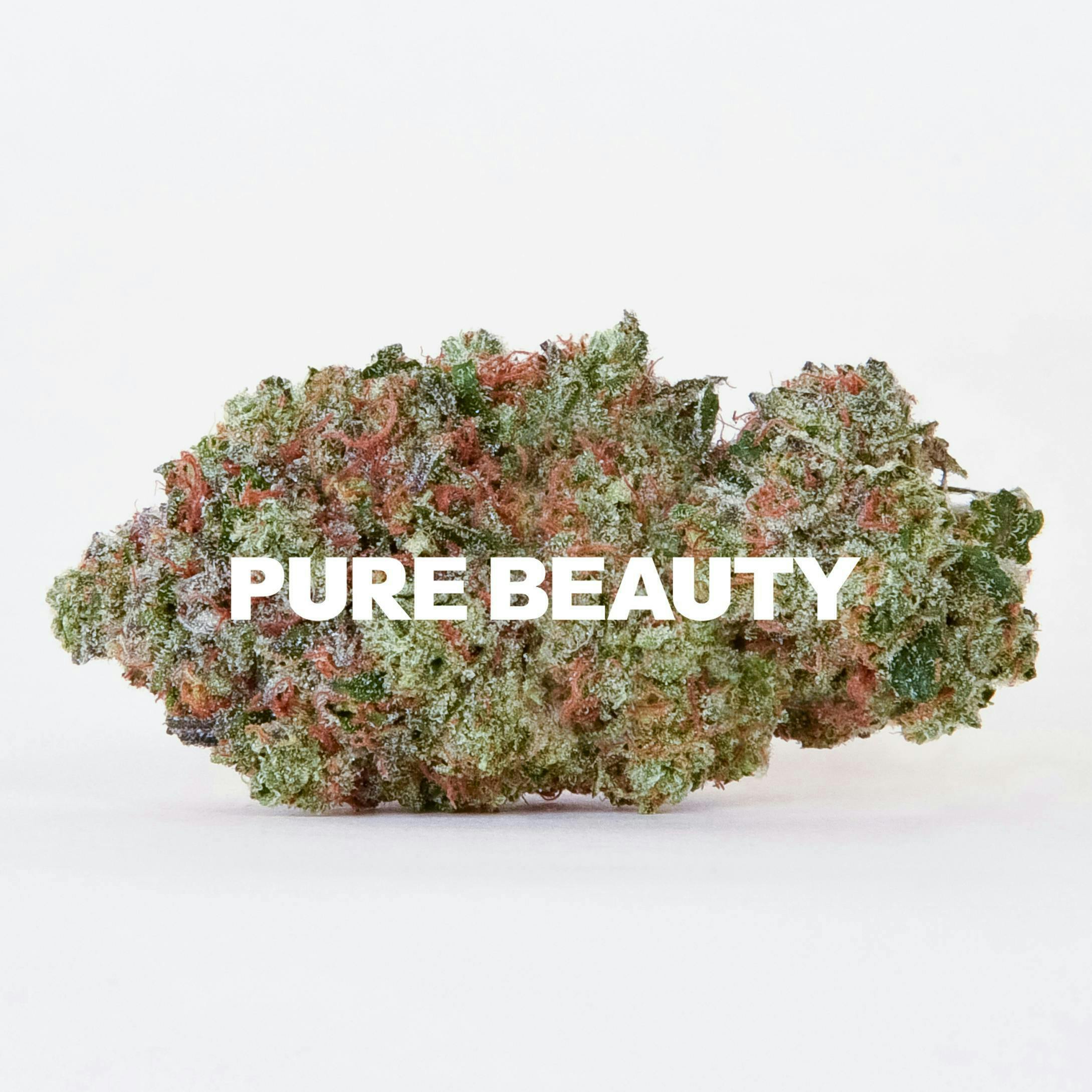 Aquemini | 3.5g Indoor by Pure Beauty