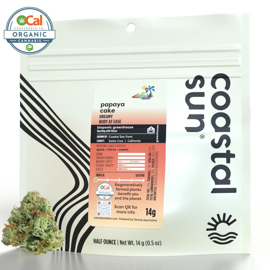 Coastal Sun — Papaya Cake