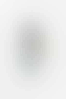 Northern Lights 510 Cart