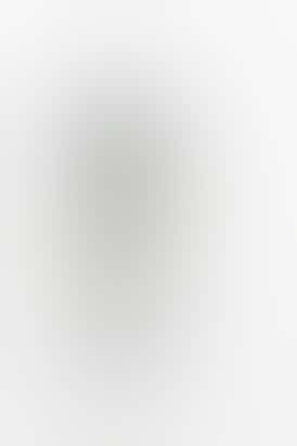 Maui Wowie All-In-One 1g