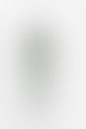 Gushers All-In-One 1g