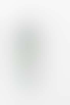 Blue Dream All-In-One 2g