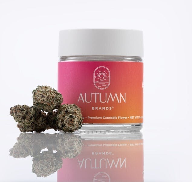 Autumn Brands — Runtz