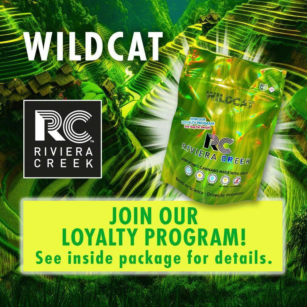 Riviera Creek | Flower - Wild Cat