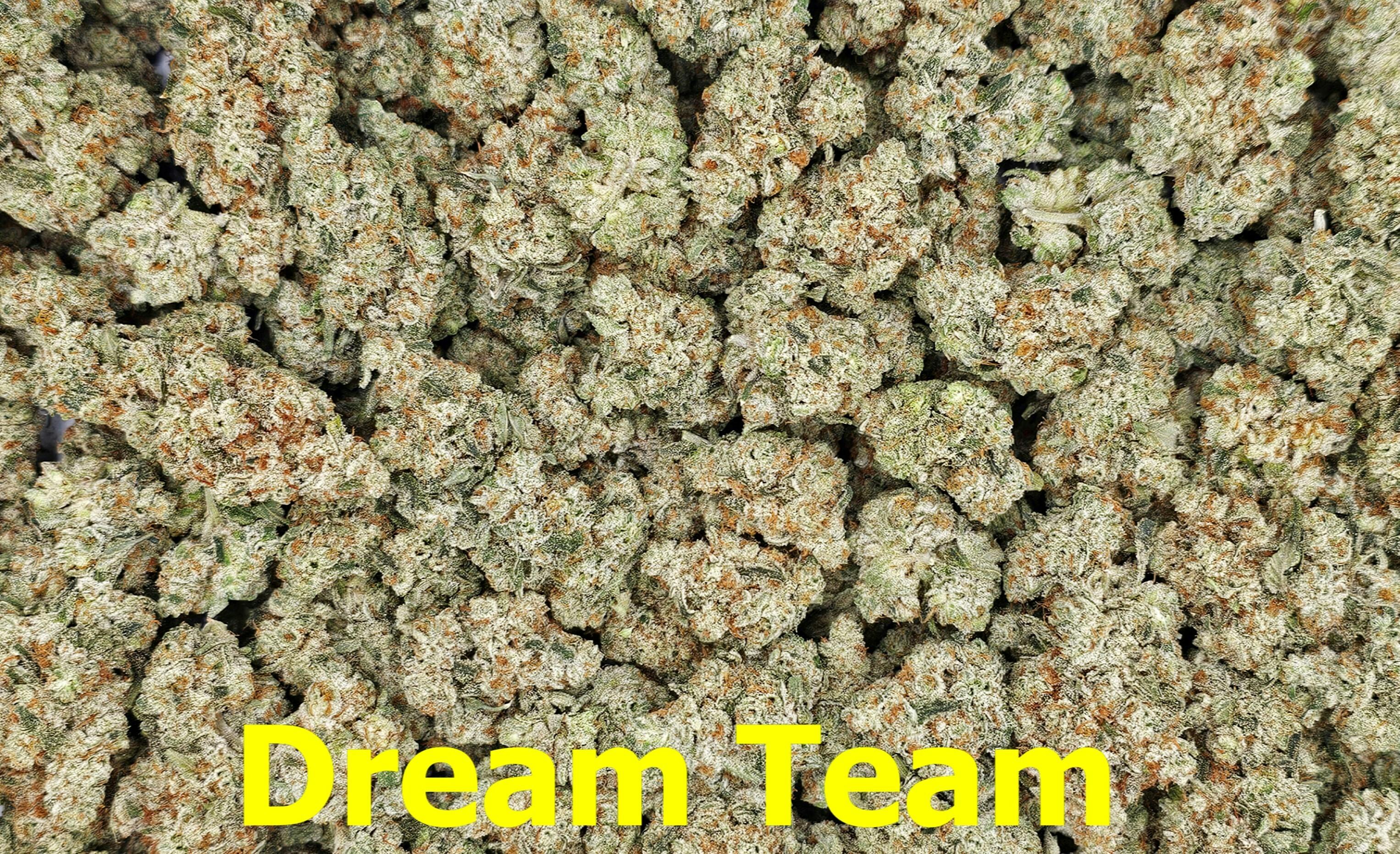 Dream Team Flower by Scorpion Grass