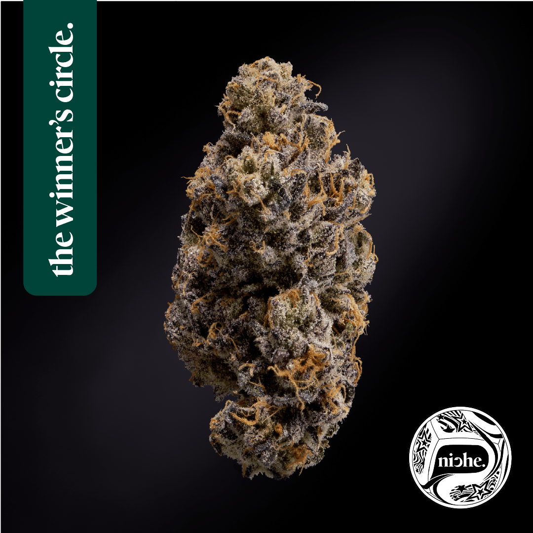 Pink Ink | 3.5g by Niche