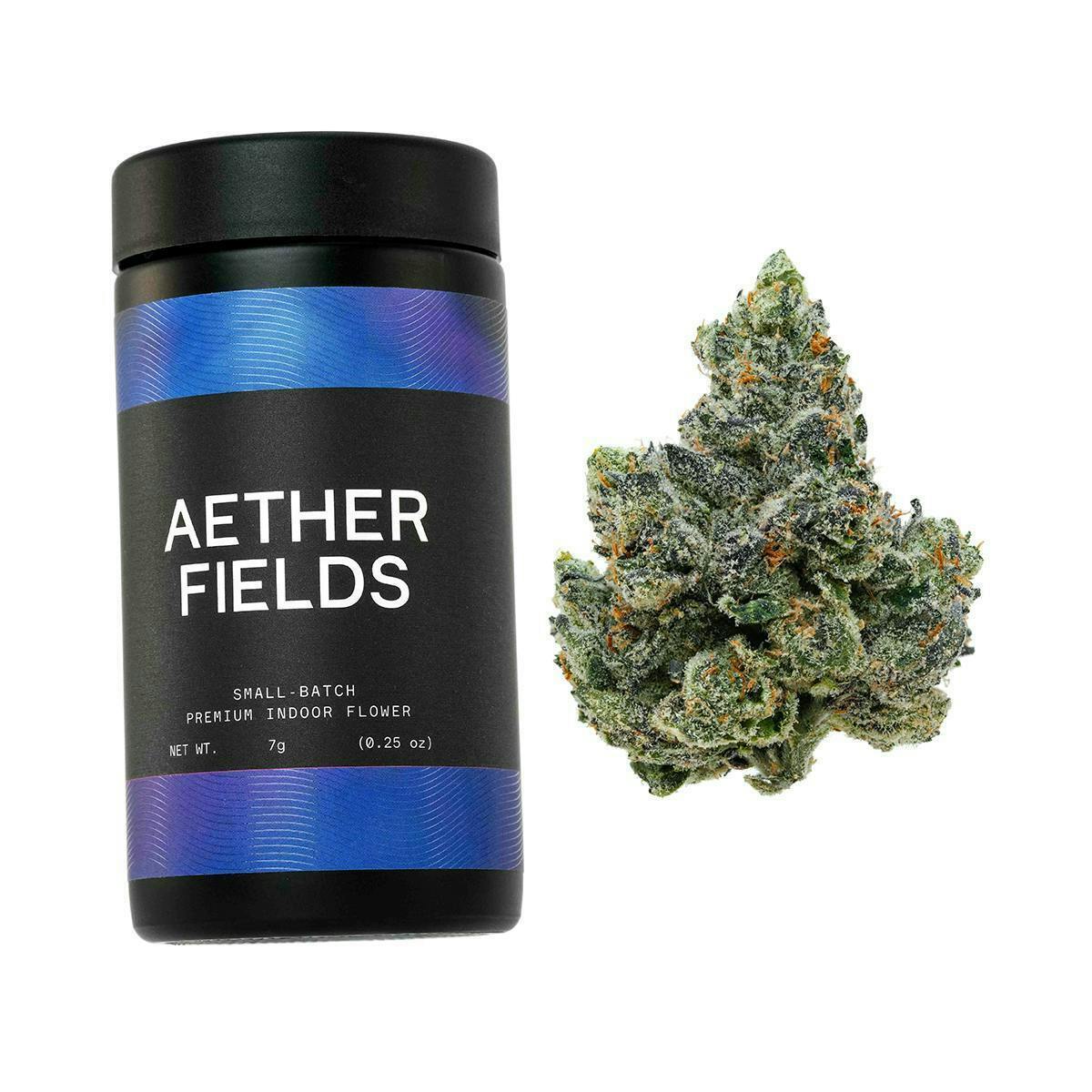 Aether Fields: David Bolowie