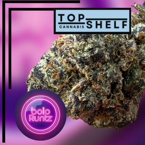 Top Shelf Bolo Runtz - Magnum