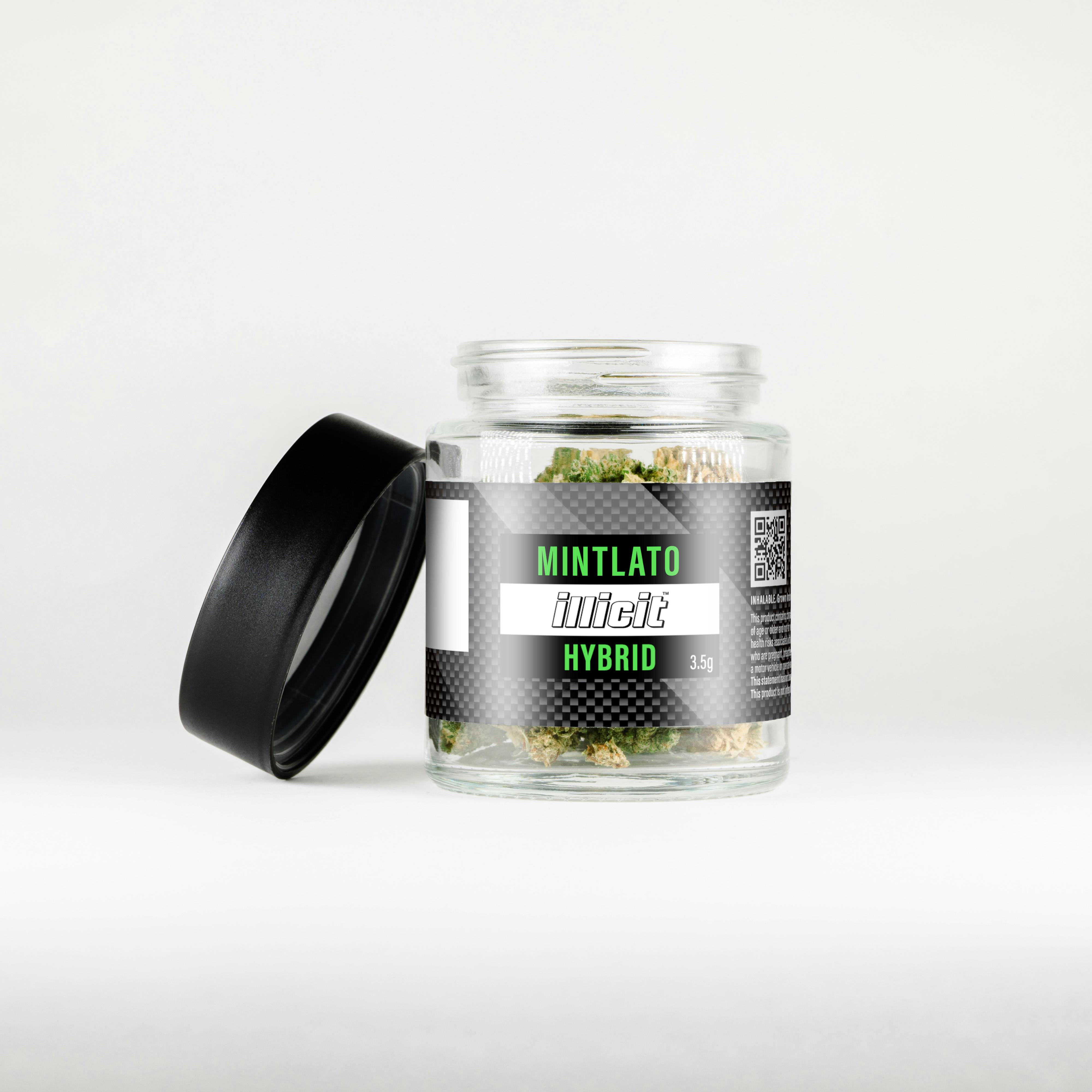 Mintlato 3.5g Flower by ILLICIT