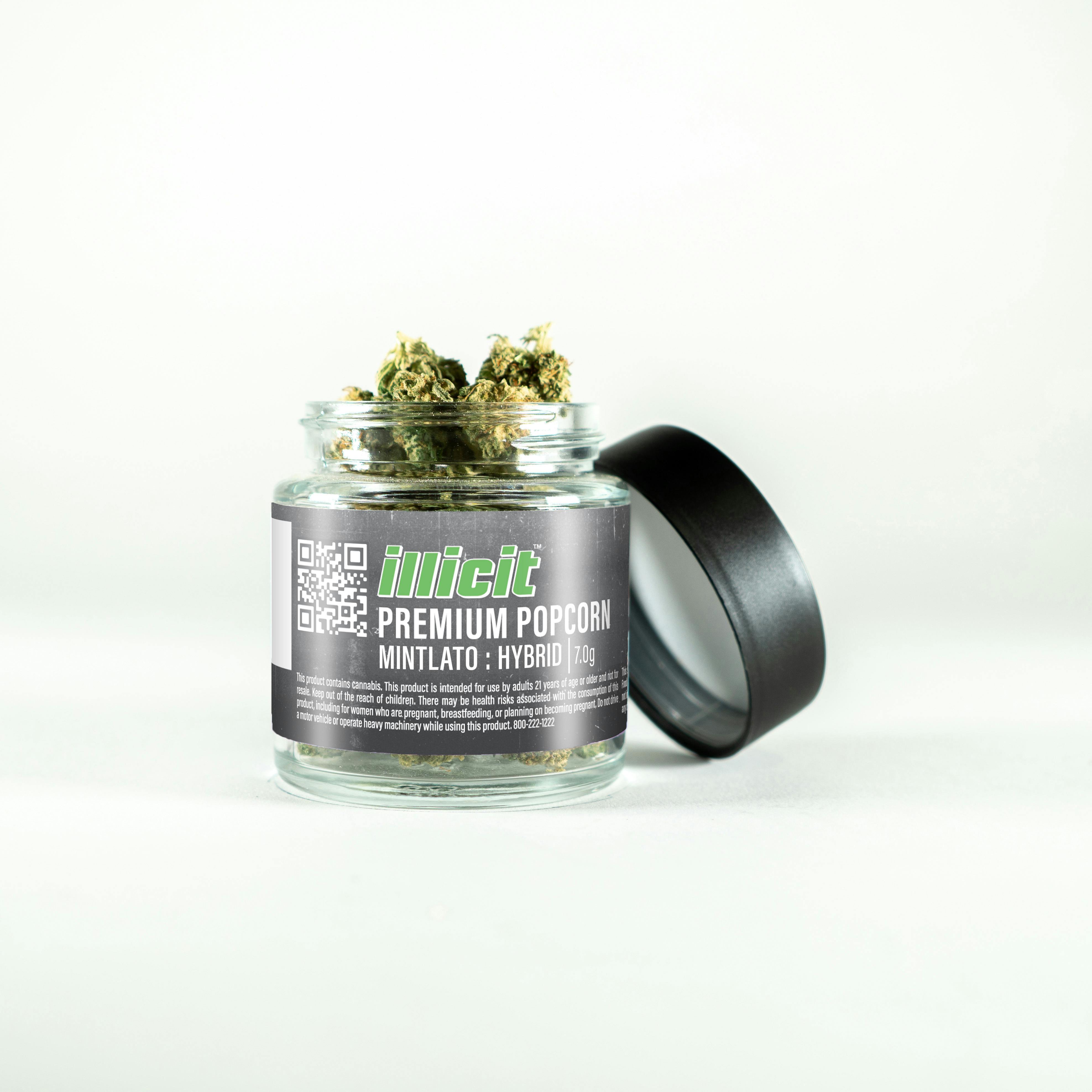 Mintlato 7g Popcorn Flower by ILLICIT