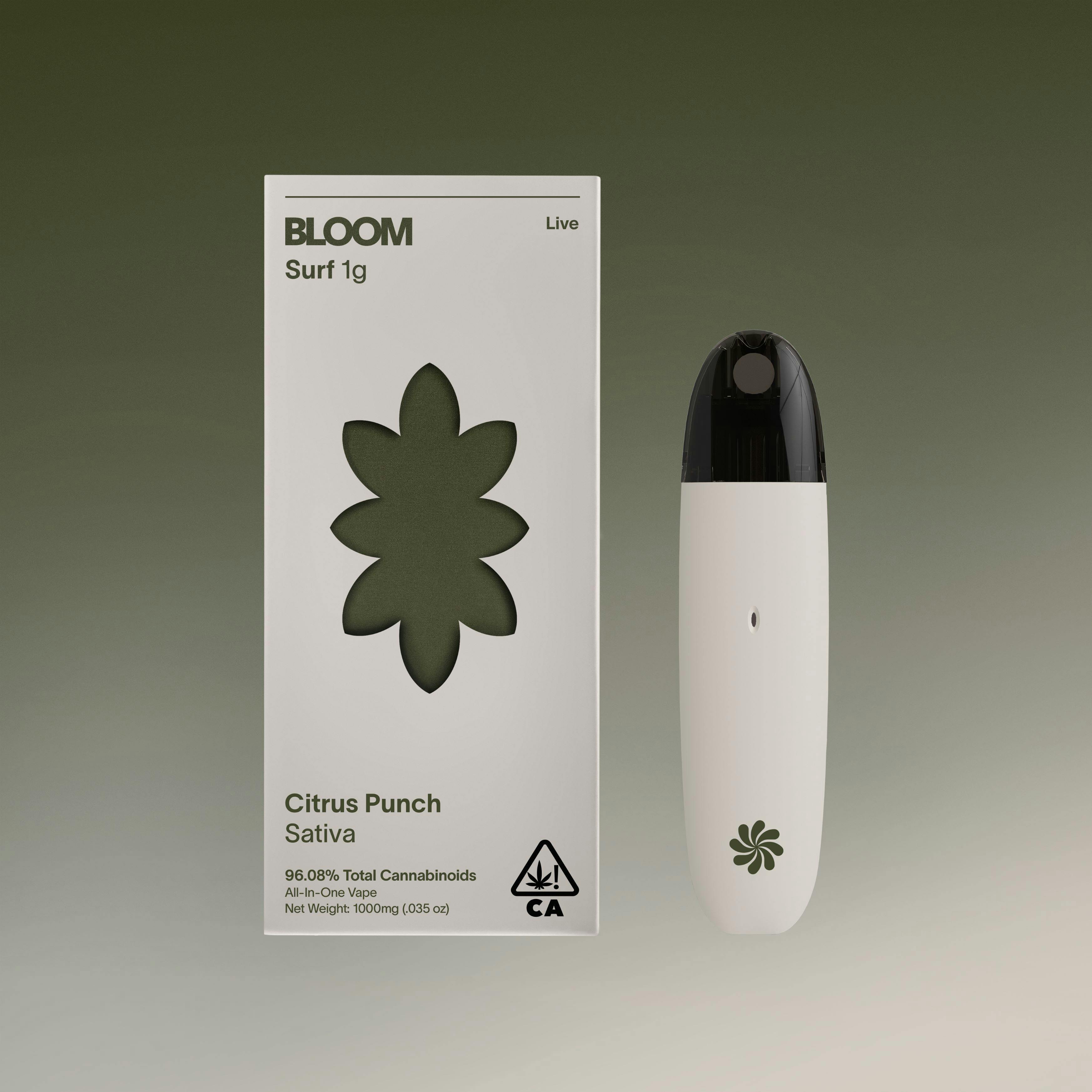 BLOOM — Citrus Punch