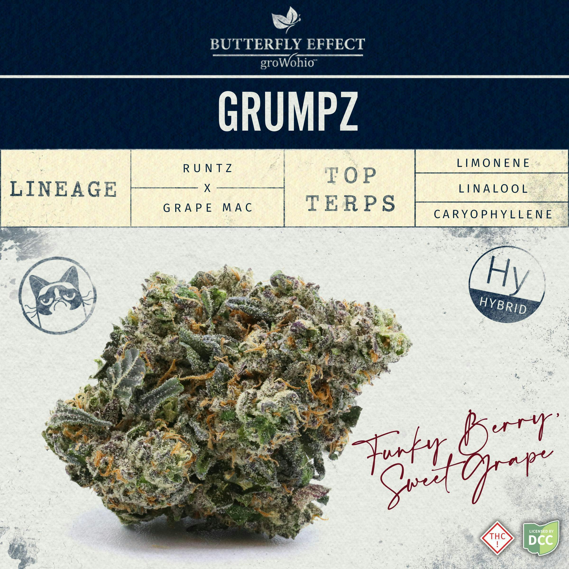 GRMPZ - 14.15g Flower by Butterfly Effect - Grow Ohio