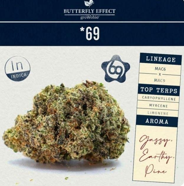 *69 - 2.83g Flower