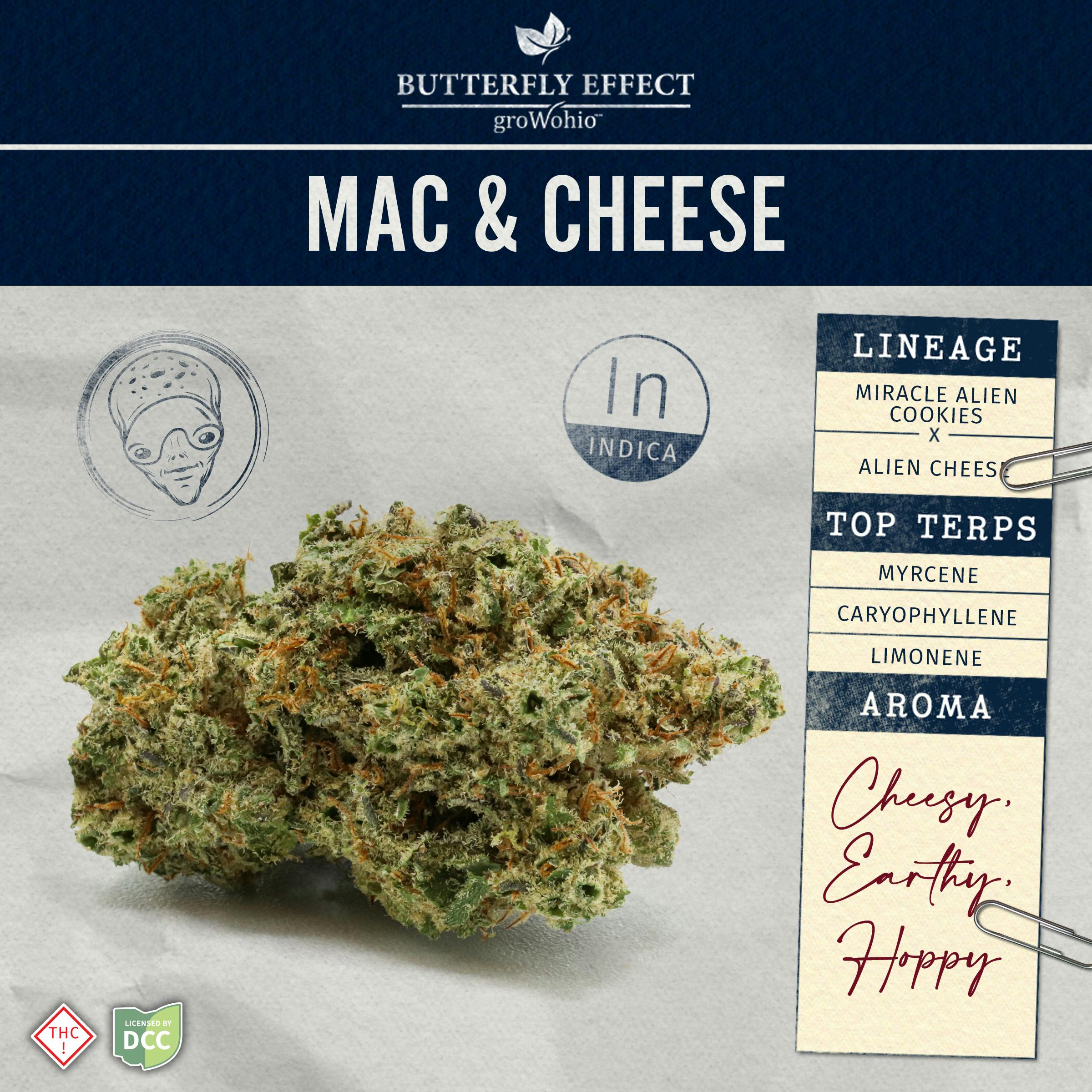 Mac & Cheese - 2.83g Flower - Butterfly Effect - Grow Ohio