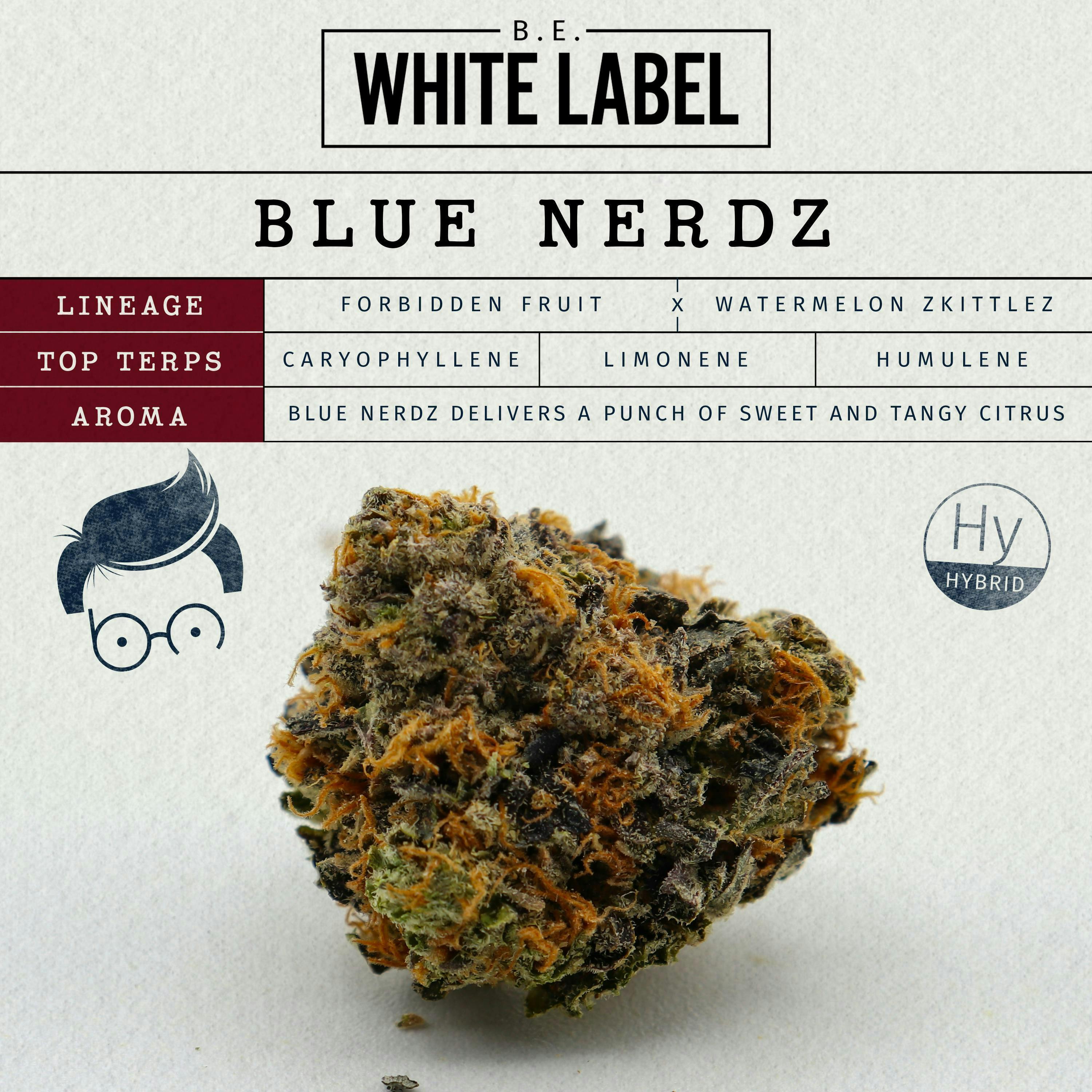 Blue Nerdz - 14.15g Flower