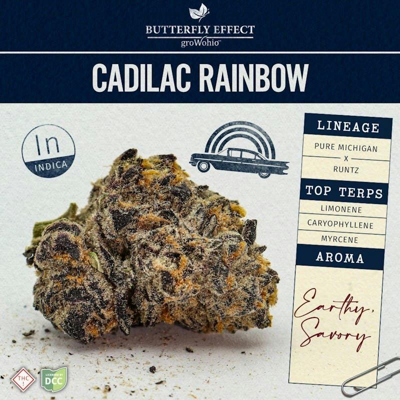 Cadillac Rainbow - 14.15g Flower by Butterfly Effect - Grow Ohio