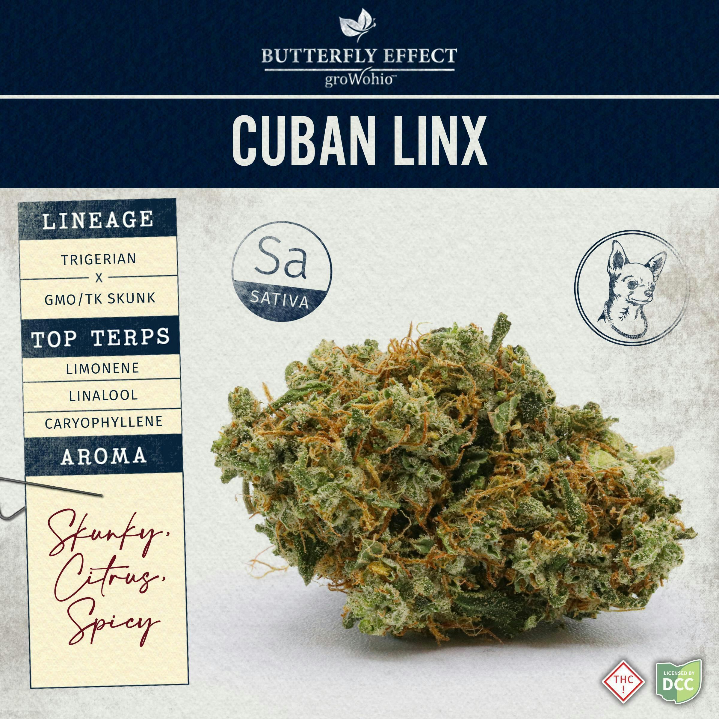 Cuban Linx - 14.15g Flower by Butterfly Effect - Grow Ohio