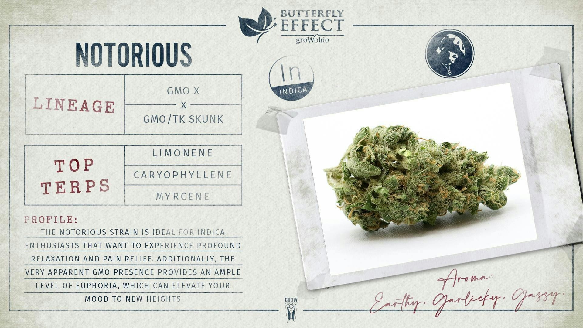 Notorious 14.15g Smalls