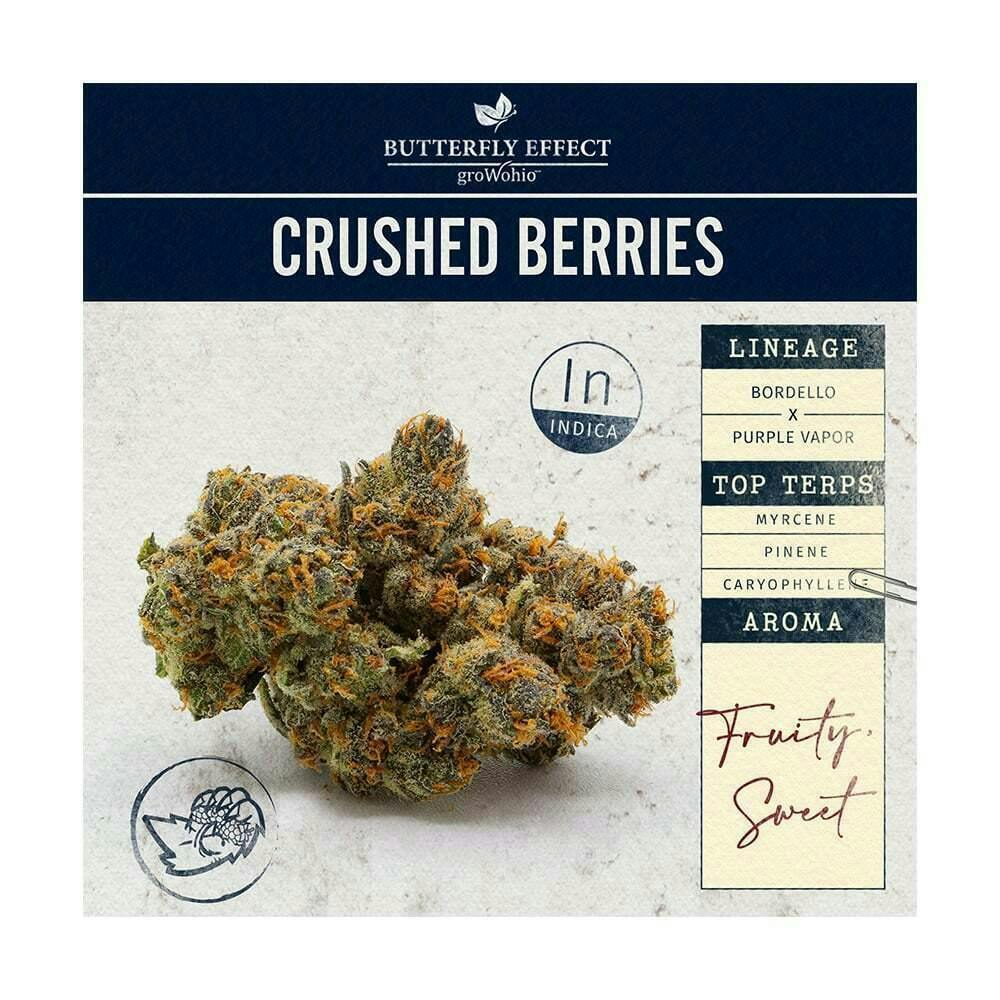 Butterfly Effect Grow Ohio