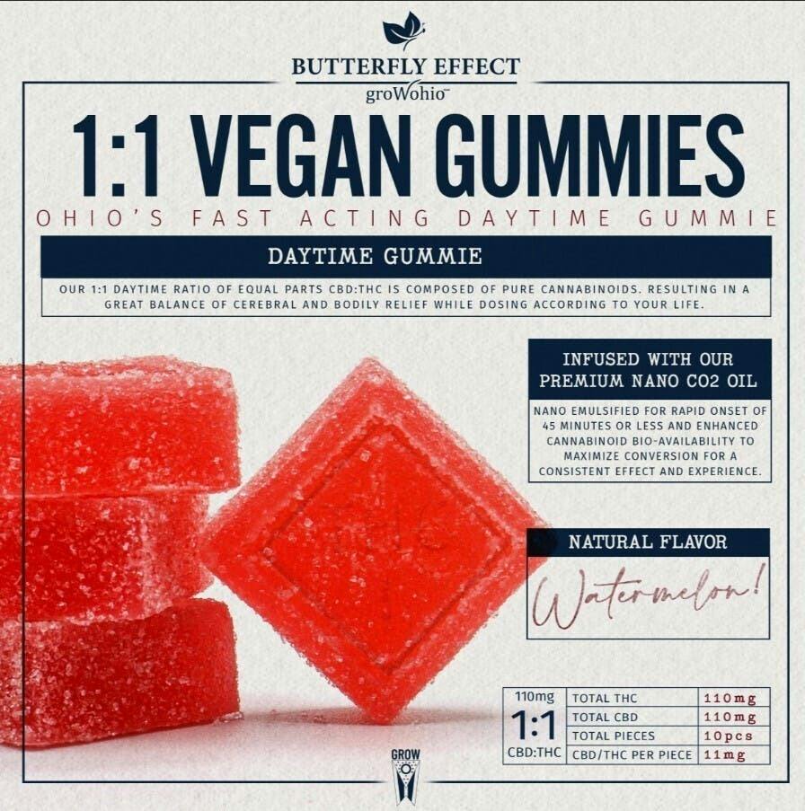 Watermelon 1:1 THC:CBD (10pk, 110mg)