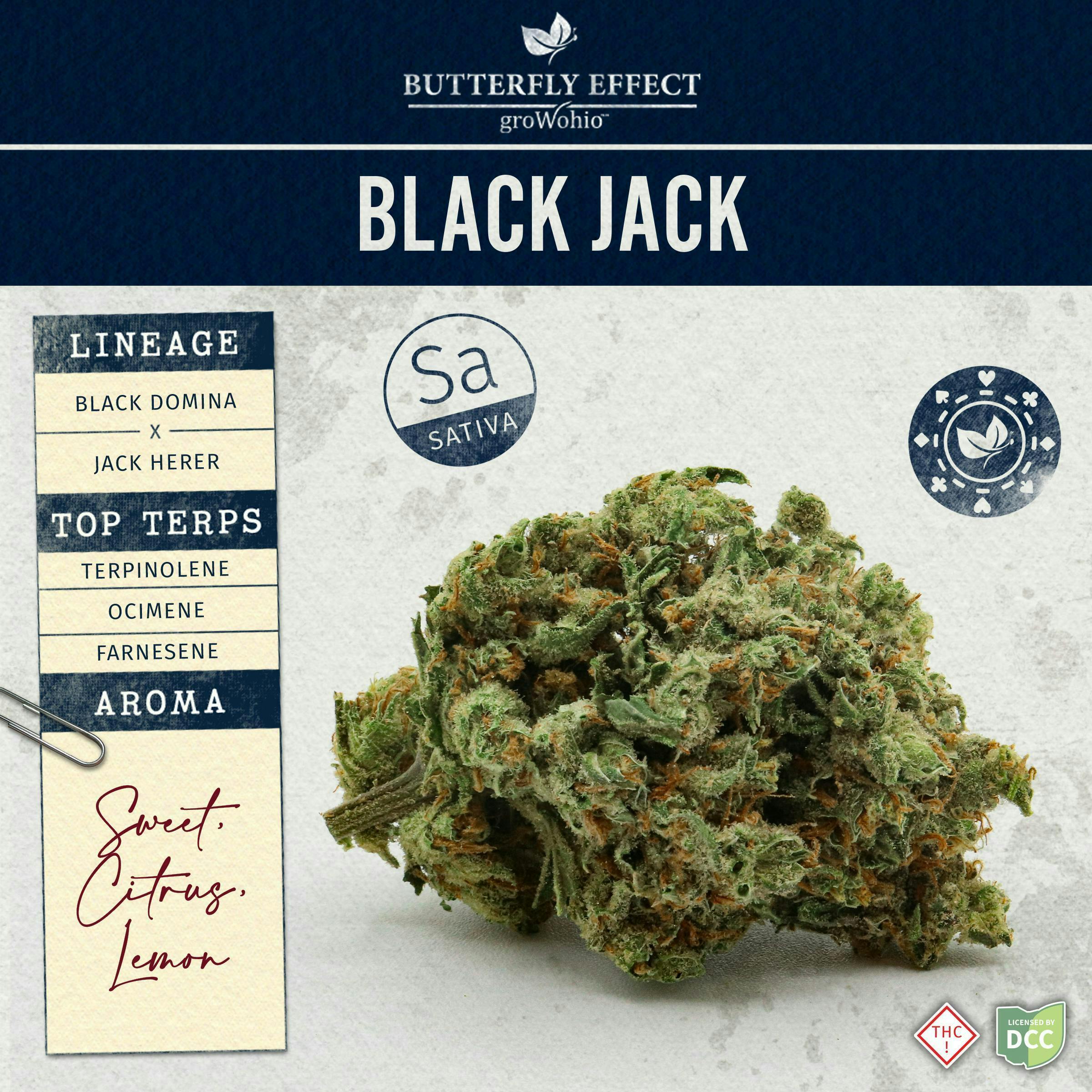 Black Jack 2.83g Flower