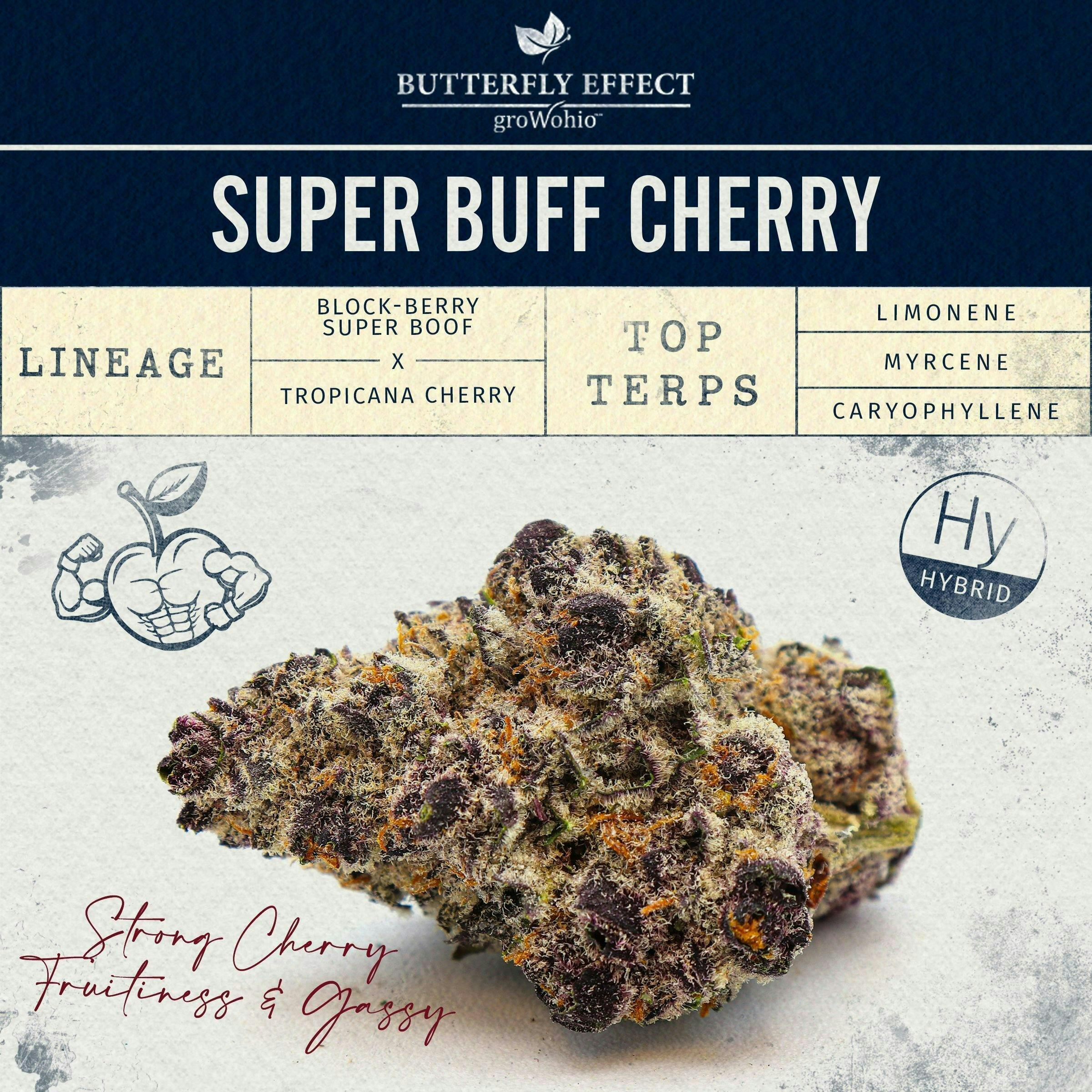 Super Buff Cherry #26 - 14.15g Flower by Butterfly Effect - Grow Ohio