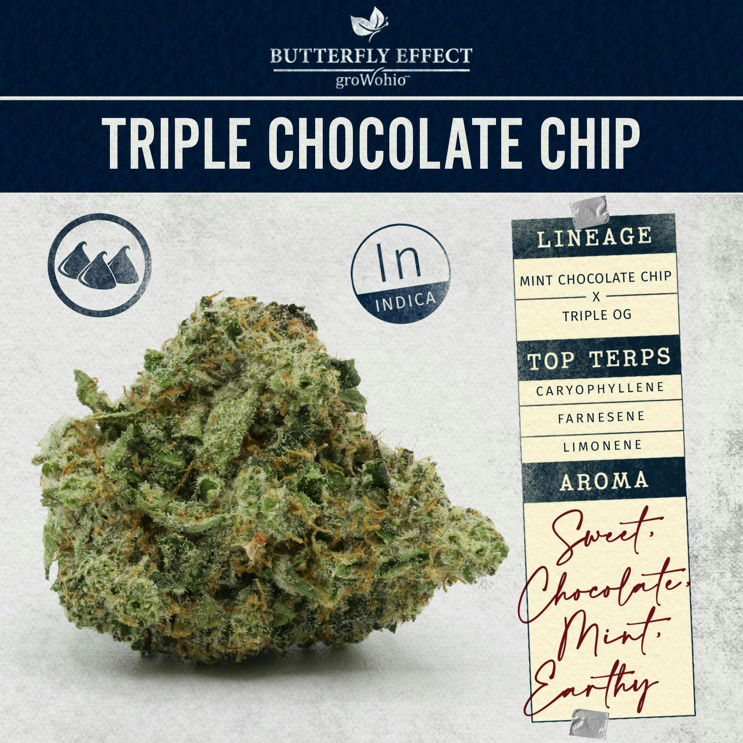 Triple Chocolate Chip - 14.15g Flower by Butterfly Effect - Grow Ohio