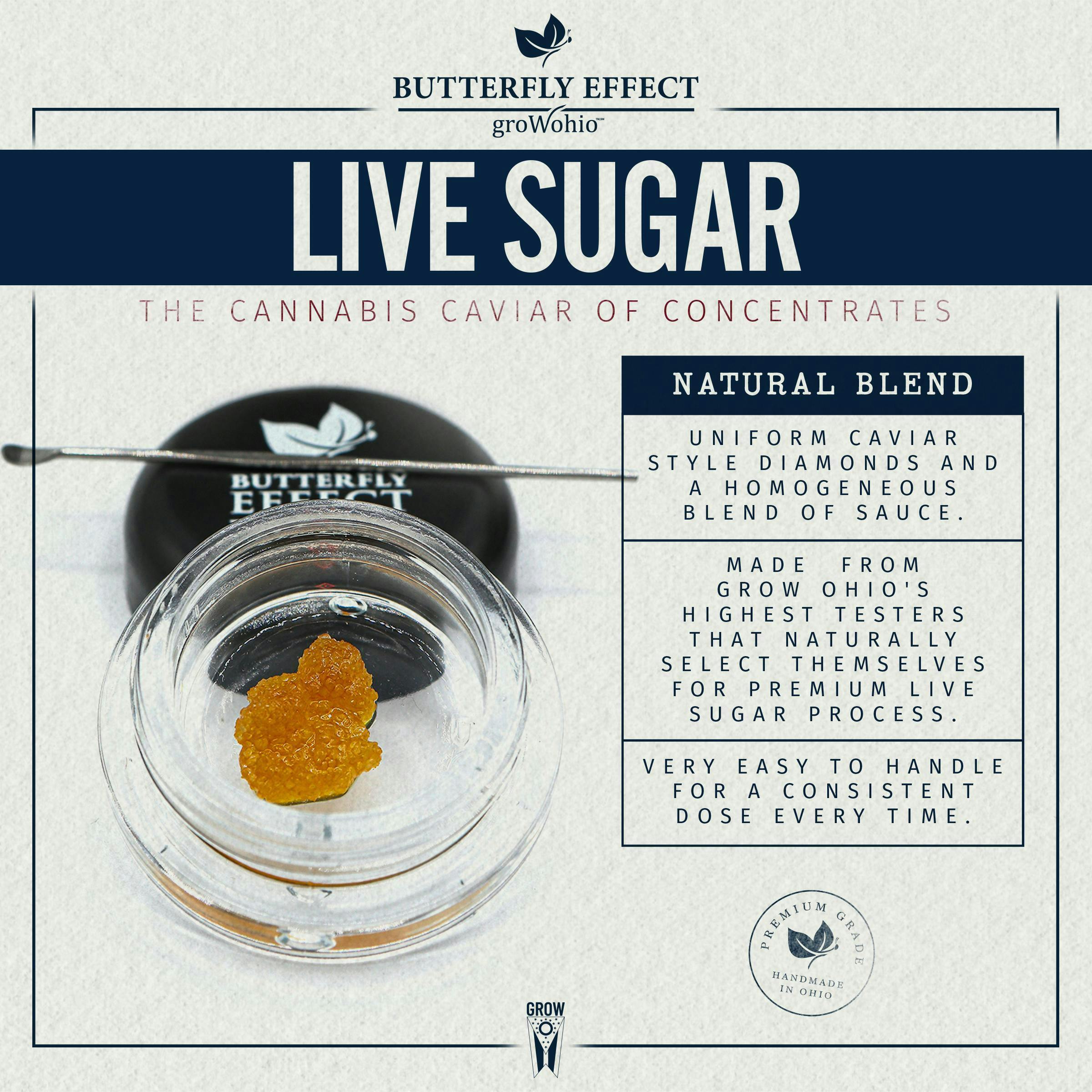 Notorious - 0.59g Live Sugar