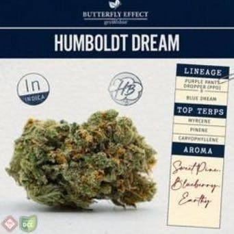 Humboldt Dream 14.15g Flower