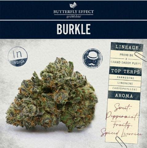 Burkle - 2.83g Flower