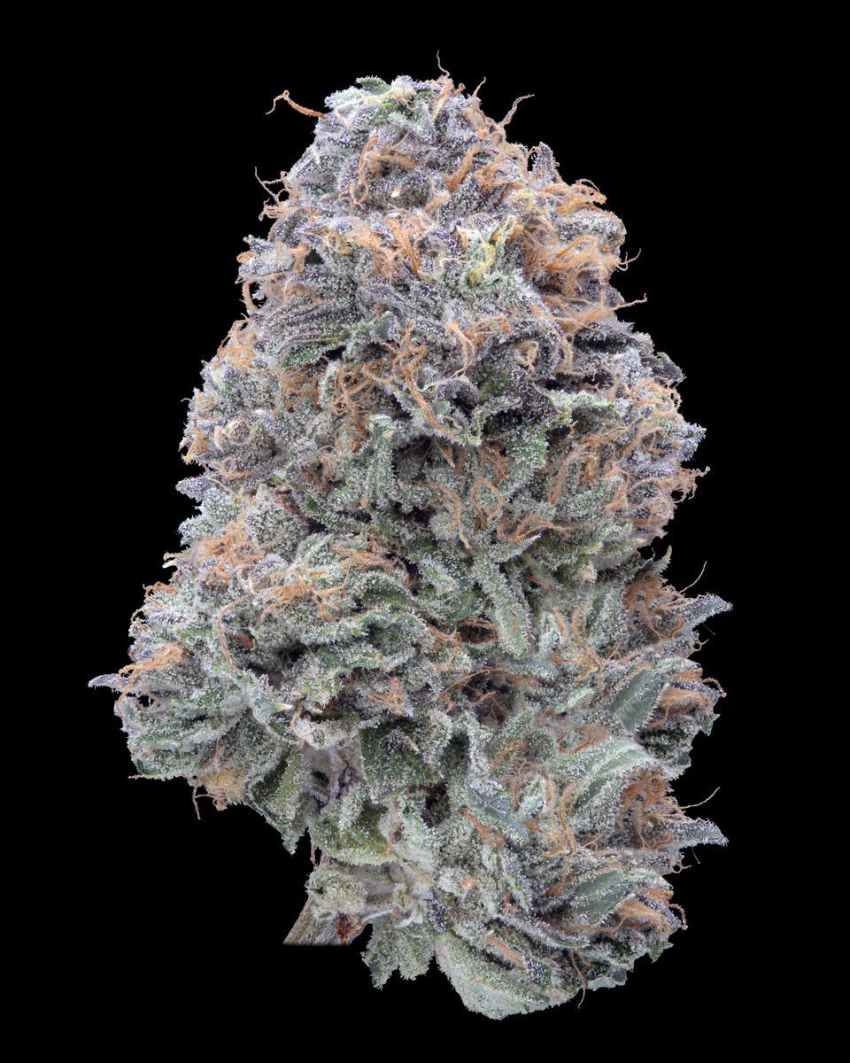 Elusive — Zkittlez