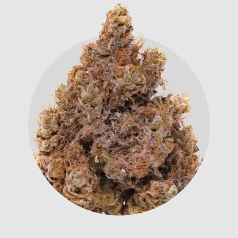 Foam | 3.5g by Medizin