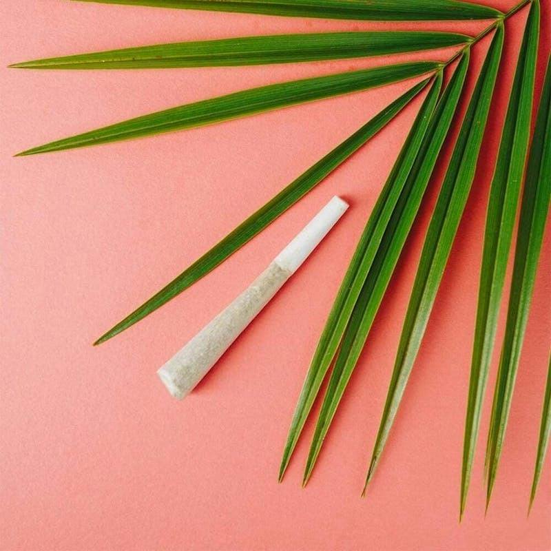 Mochi Infused Pre Roll 1g