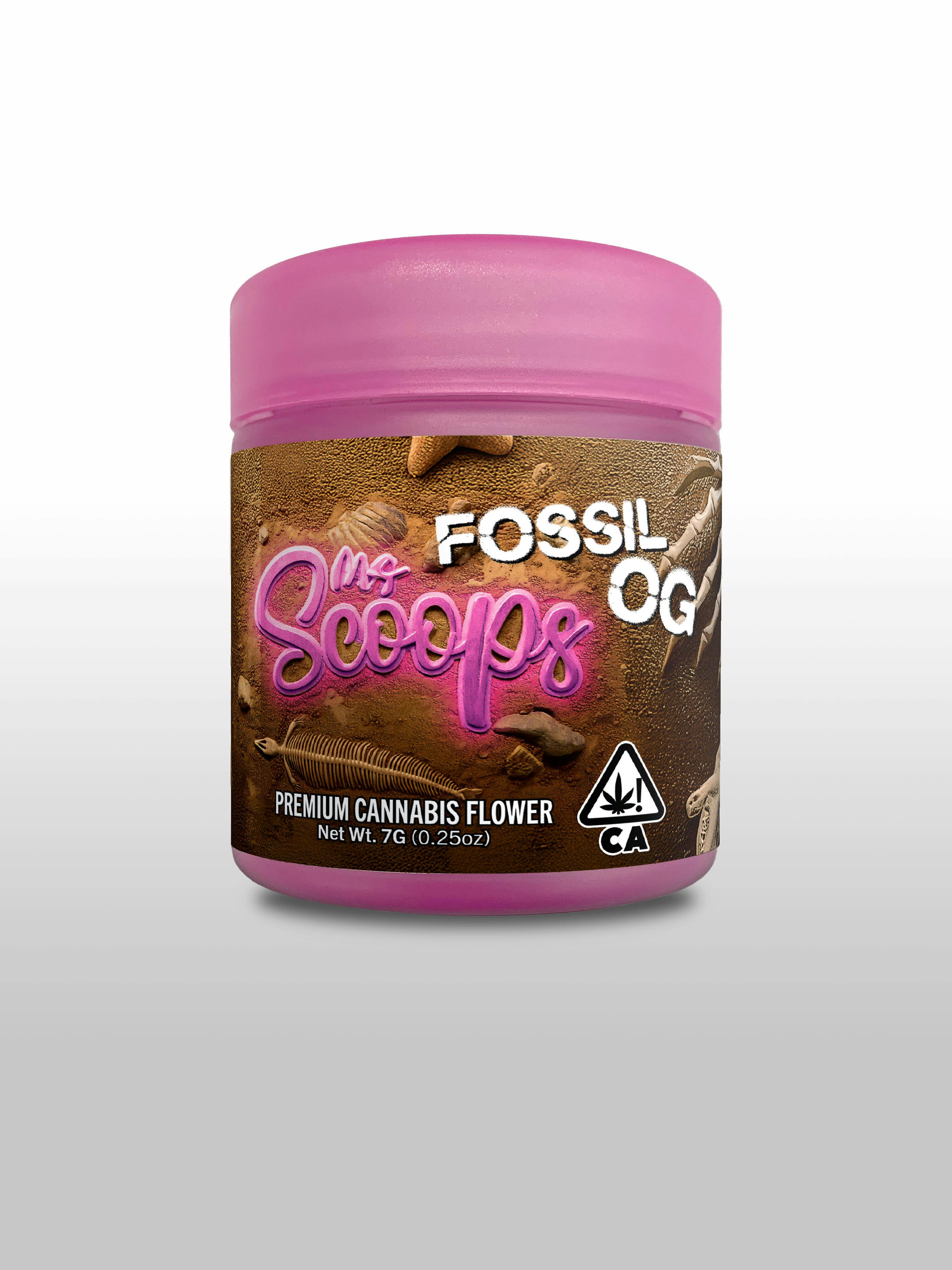 Fossil Og