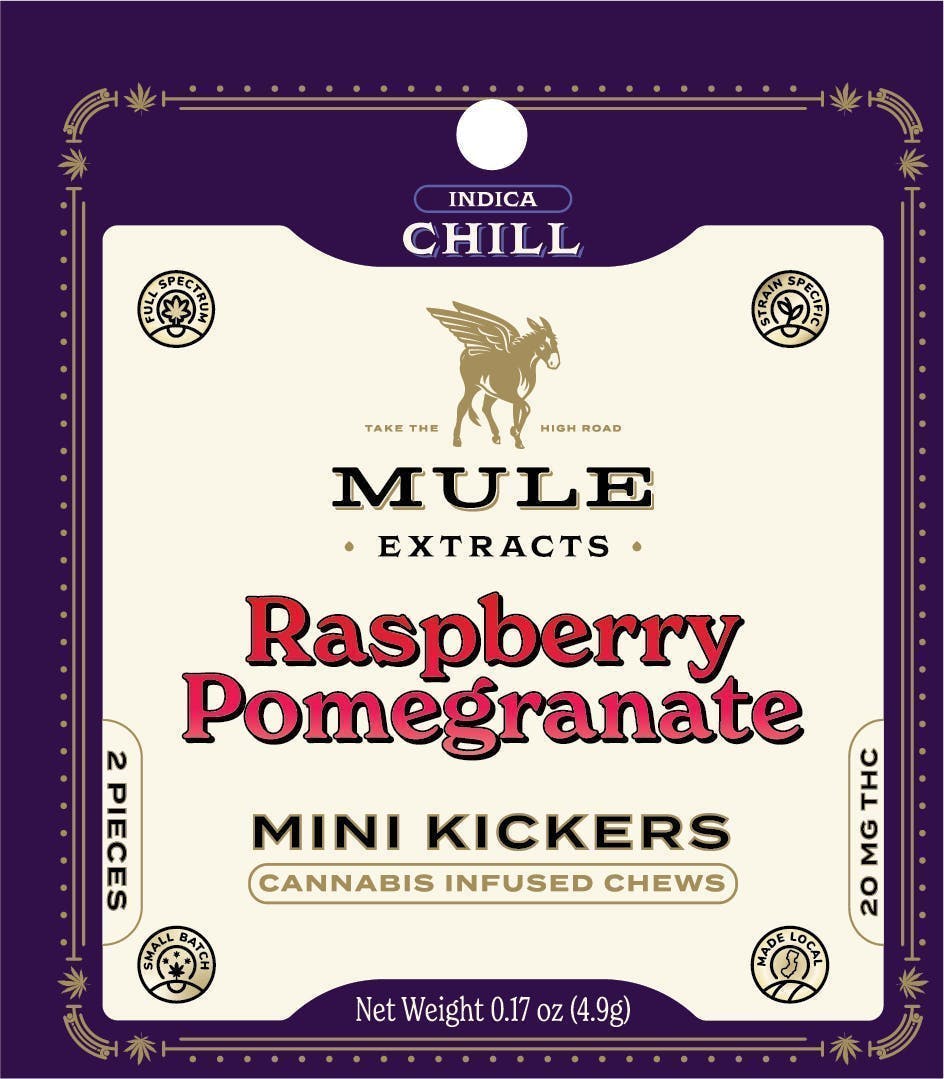 Raspberry Pomegranate "Try Me" Mini Kicker Gummies | 20mg | 2ct | 10mg/ea