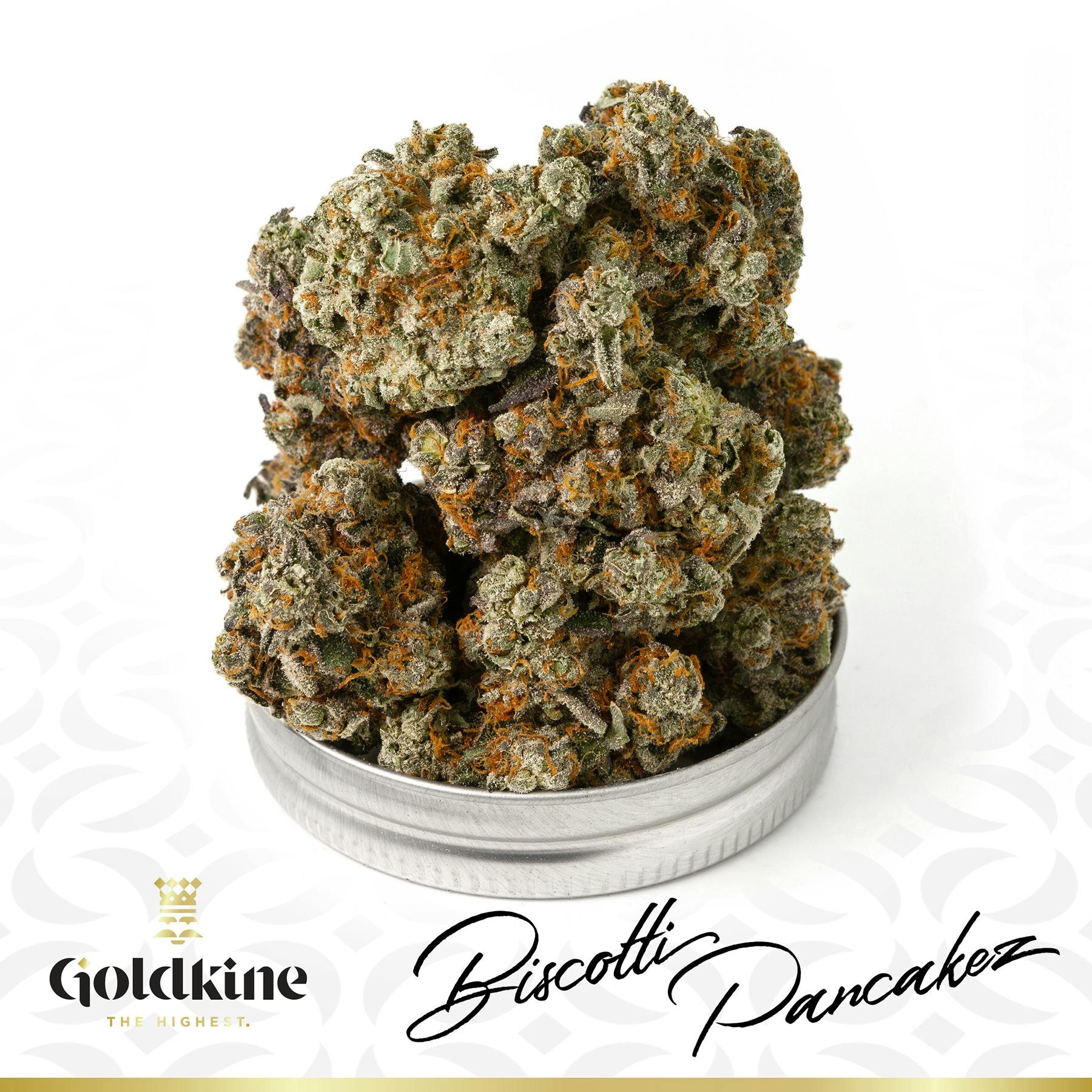 Goldkine Flower "Bigs" | Biscotti Pancakez by Goldkine
