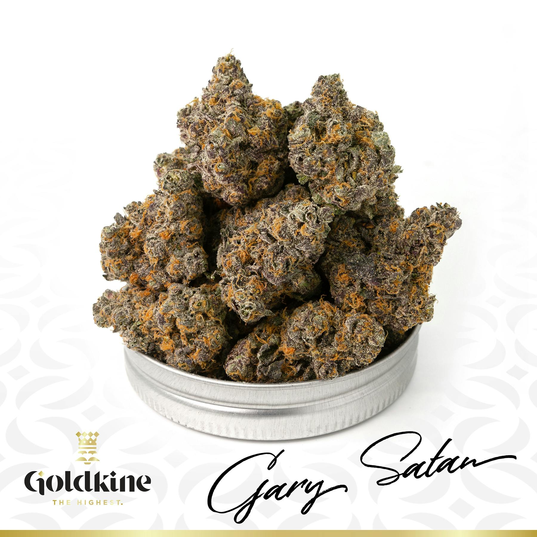 Goldkine Flower "Bigs" | Gary Satan by Goldkine