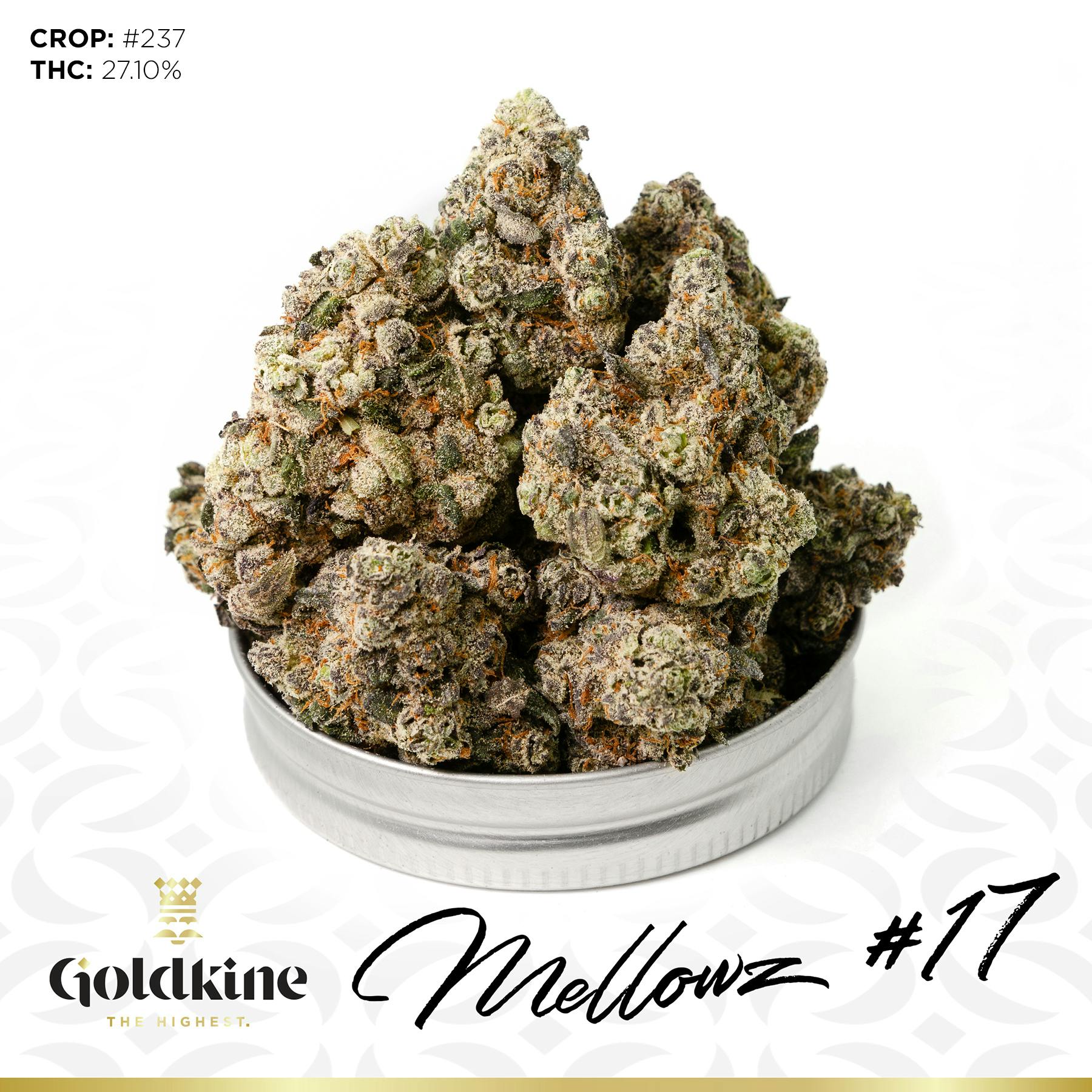 Goldkine Flower "Bigs" | Mellowz #17 by Goldkine